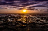 Sunset in the Spring by Davadero Foto thumbnail