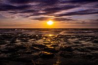 Sunset in the Spring
