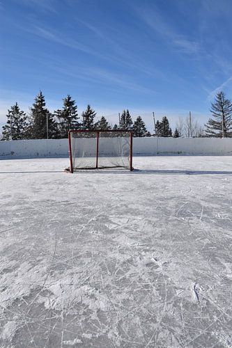 De dorpsijsbaan in de winter