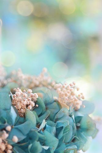 Pastel at its most beautiful