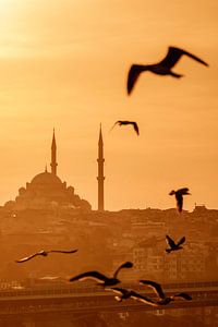 Magical Istanbul, sunset with seagulls, mosques shrouded in gold, warm light