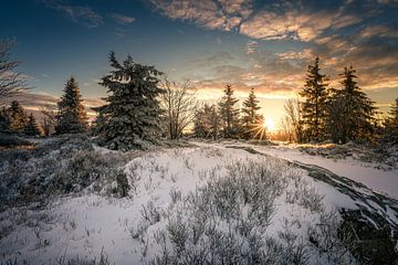 Winter natuur in het Harz gebergte van Steffen Henze