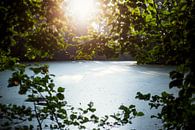 Favorite place, beautiful space. van Linda Hutten thumbnail