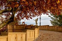 Floating Victoria view