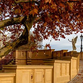 Floating Victoria view by Holger Felix