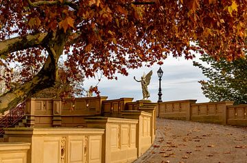 Floating Victoria view