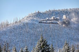 Die Brockenbahn auf dem Weg zum Brocken