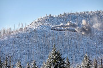 The Brocken railway on the way to the Brocken by t.ART