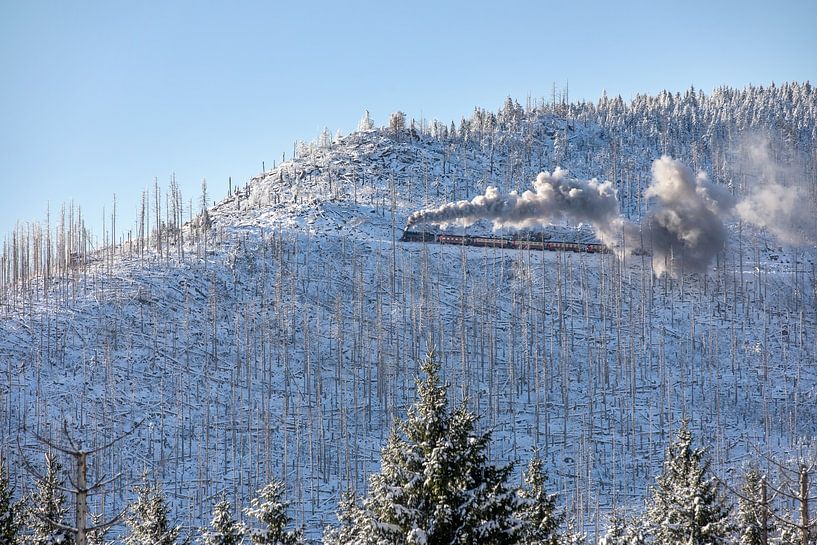 Die Brockenbahn auf dem Weg zum Brocken von t.ART