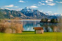 Panorama-uitzicht over de Forggensee