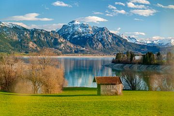 Panorama view over the Forggensee by Leo Schindzielorz