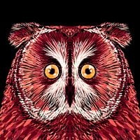 Vogelserie Uil 4