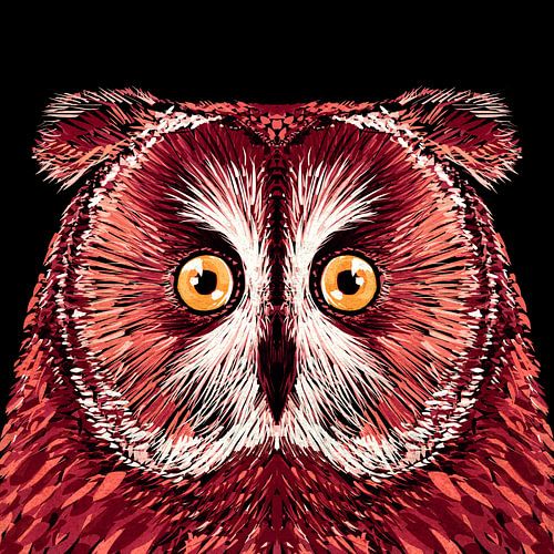 Série oiseaux Hibou 4