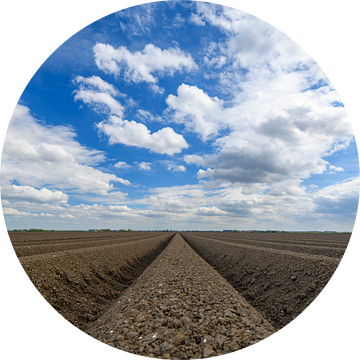Vers geploegd aardappelveld met rechtlijnig patroon van Sjoerd van der Wal Fotografie
