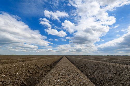 Vers geploegd aardappelveld met rechtlijnig patroon