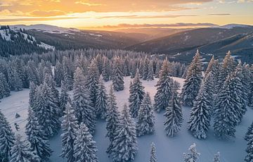 Winterochtend boven een besneeuwd bos van fernlichtsicht