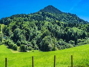 BAYERN : Bayerische Landschaften