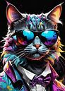 Kattenverblijven van Donie Dis thumbnail