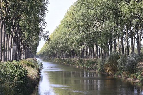 Schipdonkkanaal bij Damme, België