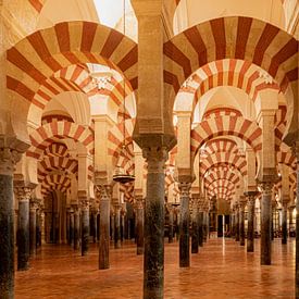 The famous arches in the Mosque-Cathedral of Cordoba by Ron Poot