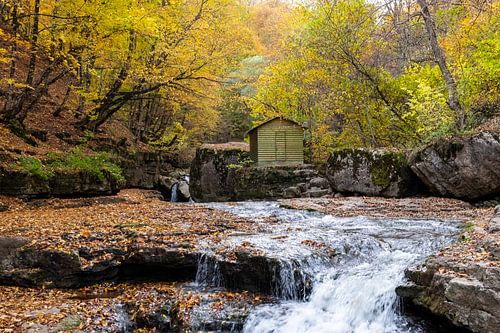 Herbst in den Bergen
