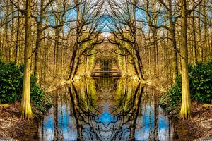 Schönheit  der Natur Spiegelung von Bäumen in Wasser  im Herbst  Mehrfachbelichtung