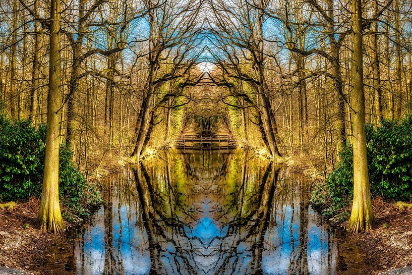 Schoonheid van de natuur weerspiegeling van bomen in water in de herfst meerdere blootstelling van Dieter Walther