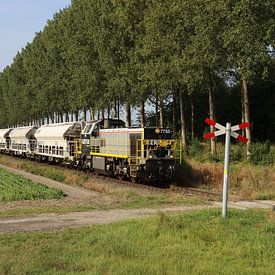 Certus Rail met petroleumcokes Zeeuws Vlaanderen van Harold de Groot