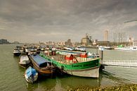 Zwarte Zwaantje in de Leuvehaven by Alice Berkien-van Mil thumbnail