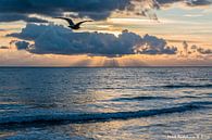 Zoutelande by Henk Hartzheim thumbnail