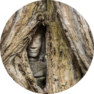 Verborgen boeddha, Cambodja