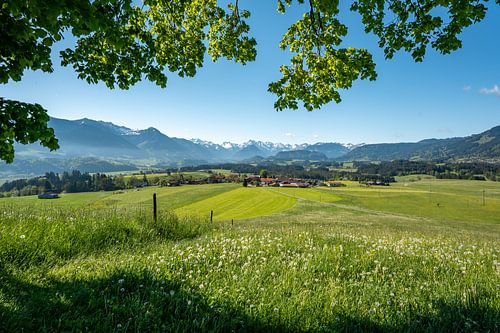 Spring on the Wittelsbacher Höhe between Fischen and Ofterschwang in the Allgäu with a magnificent view of the snow-covered Allgäu Alps by Leo Schindzielorz