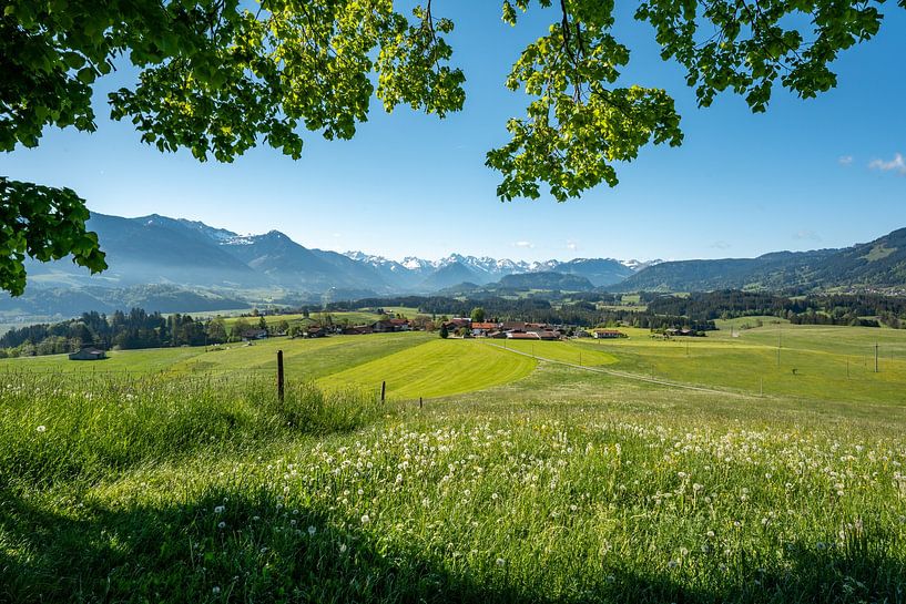 Lente op de Wittelsbacher Höhe tussen Fischen en Ofterschwang in de Allgäu met een prachtig uitzicht op de besneeuwde Allgäuer Alpen van Leo Schindzielorz
