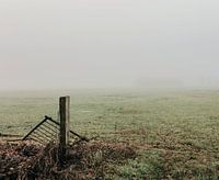 Mistig landschap