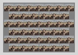 Afrikanischer Strauß von Matthias Brix