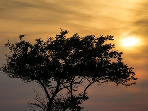 Silhouet zonsondergang boven Erodios, Griekenland