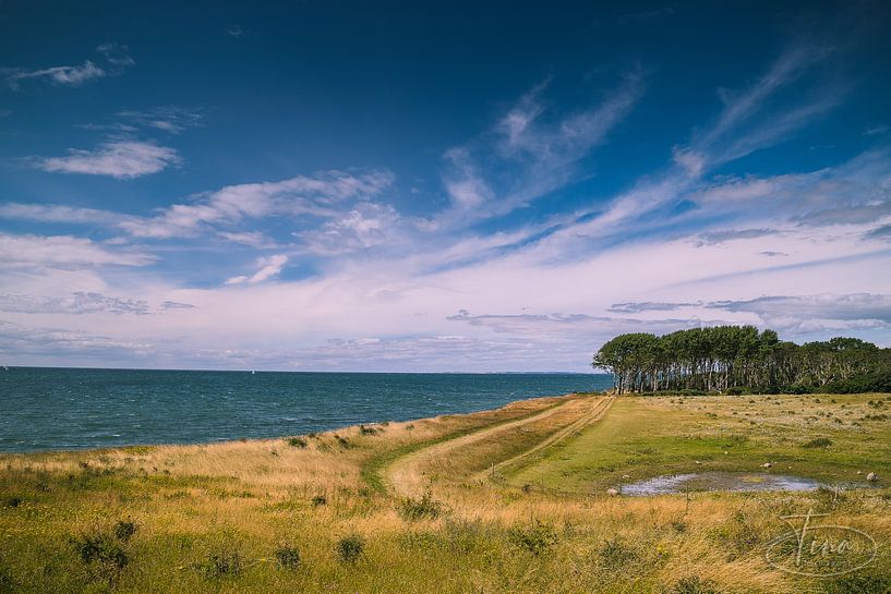 The natural beauty by Tina Linssen