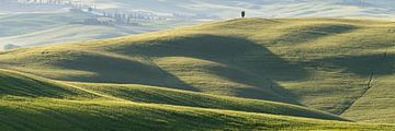 Gentle hilly landscape near Pienza in Tuscany by Walter G. Allgöwer
