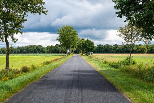 Landstraße durch die Felder