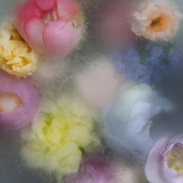 Flowers in ice: field bouquet pastel colours