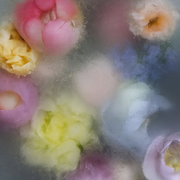 Flowers in ice: field bouquet pastel colours by Carla Van Iersel