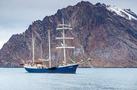 Tall Ship Barquentine Antigua in de wateren rondom Spitsbergen van Menno Schaefer thumbnail