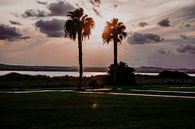 Palmen Sonnenuntergang von Shelena van de Voorde Miniaturansicht