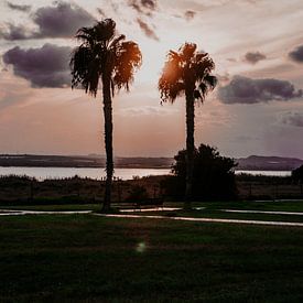 Palmen Sonnenuntergang von Shelena van de Voorde