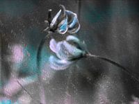 Two summer flowers against a geometric silver background