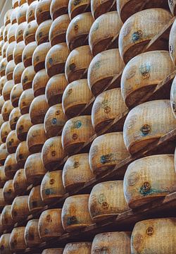 Parmigiano Reggiano von Roderick Mintjens