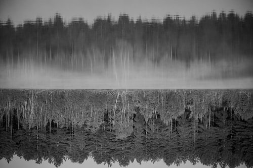 A dreamlike reflection