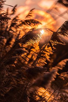 Sunset van Marco Herman Photography