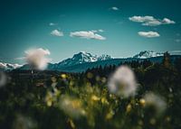 Bergblick