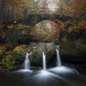 Schiessentümpel Watervallen Luxemburg van Robin Gooijers | Fotografie